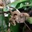 john-deere-s670-image-9