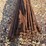 bundle-of-50-succor-rod-image-3