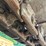 caterpillar-225d-lc-image-76