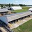 #60000-•-29.92-acre-farm-with-home,-barns-&-outbuildings-image-18