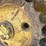 caterpillar-d5c-xl-image-60
