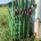 9-10ft-corral-panels-image-7