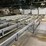 #197-•-weinig-industrial-multi-strand-chain-&-roller-transfer-conveyor-system-image-22