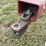 new-idea-5312-image-5