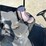 #1027-•-toro-workman-gtx-image-5