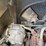 #3105-•-allis-chalmers-acc30-forklift-image-32