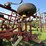 krause-6161-image-13