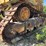 caterpillar-d9r-image-73