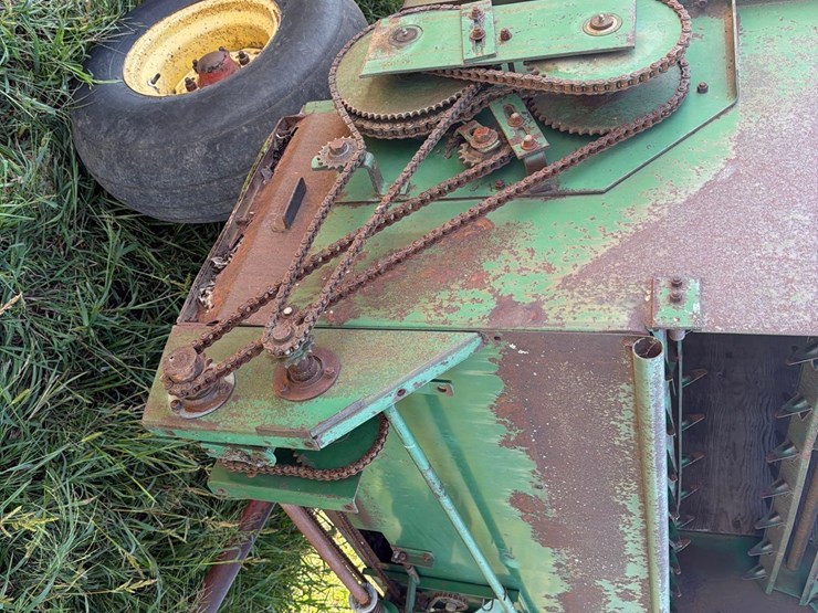 badger-1416-image-6