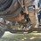 1995-mack-ch613-image-82