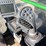 deere-803mh-image-93