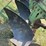 john-deere-4-bottom-plow-image-14