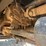 1988-kenworth-t800-image-66