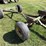 john-deere-1065-image-1
