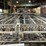 #197-•-weinig-industrial-multi-strand-chain-&-roller-transfer-conveyor-system-image-12