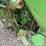 john-deere-630-image-34