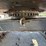 deere-803mh-image-83