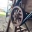 #2915-•-electric-wheat/grain-fanning-mill-trailer-image-13