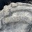 #60834-•-timberpro-830-forwarder-image-93