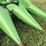 2009-john-deere-608c-image-65