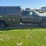2009-ford-f350-image-5