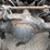 2015-international-prostar-image-81