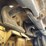 caterpillar-d5c-xl-image-54