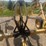 vermeer-v-rake-image-2