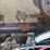 2013-king-trail-image-70