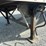 #61441-•-2007-van-guard-trailer-ltd-53'-van-trailer-image-11