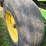 demco-365-image-24