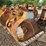 #2731-•-approx-36"-excavator-bucket-image-4