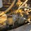 1988-kenworth-t800-image-53