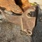 fall-equipment-auction---day-1-image-5