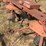 new-holland-540-image-5