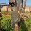 barko-140-image-51
