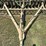 john-deere-van-brunt-12ft-drill-image-5