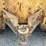 #61443-•-komatsu-61px-15-dozer-image-28