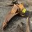 caterpillar-446b-image-1
