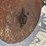 #2294-•-wil-rich-noble-5-shank-ripper-image-46