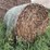30-corn-stalk-bales-image-2