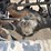 #2297-•-2017-freightliner-m2-single-axle-day-cab-truck-tractor-image-71
