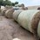 17-grass-round-bales-image-7