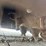 #5461-•-bobcat-24"-fastcut-skid-steer-planer-attachment-image-26