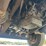 #61442-•-2006-international-single-axle-cab-and-chassis-image-49