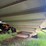 1989-wilson-grain-trailer-image-18