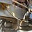 2021-massey-ferguson-1805-image-66
