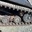 terex-pt100g-image-57