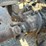 1988-kenworth-t800-image-68