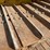 #61443-•-komatsu-61px-15-dozer-image-60
